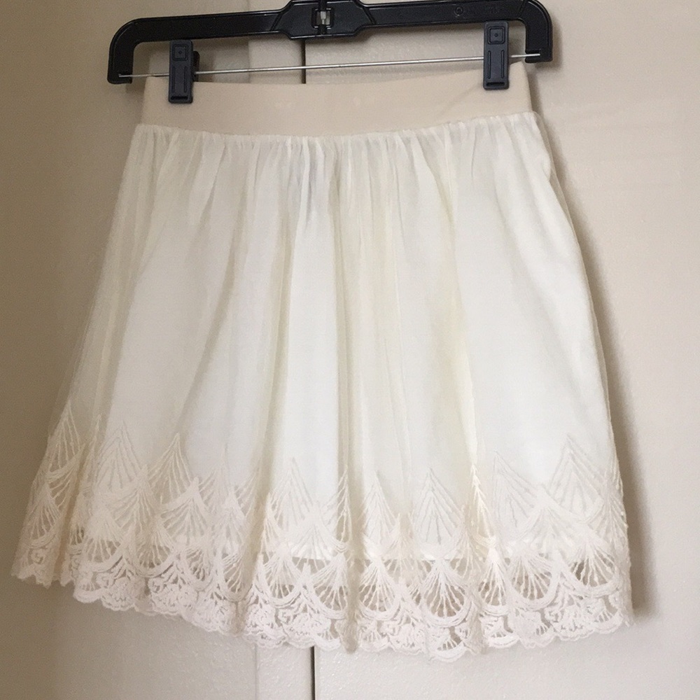 Darling Tulle Skirt with Lace Embroidery